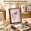 Acrylic Shadow Box Frame A4 Size 5cm Depth for DIY Flower Art Decoration