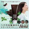 Tenstar Henna Color Treatment with Coloring Cap and Point for Gray Hair Made in Soft 250g x 2 Bottles Brush, Dye, Japan, Black,