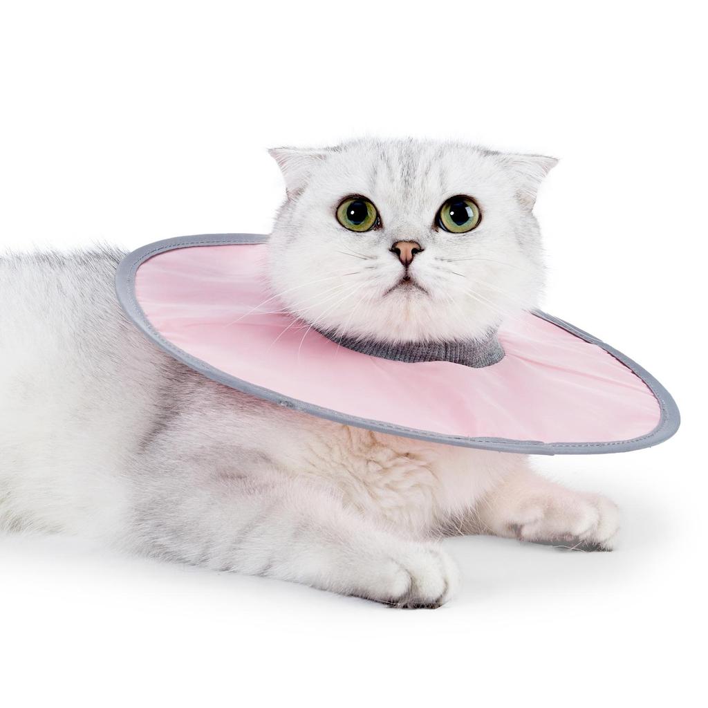 White Cat Recovery Collar: Elizabethan Anti-Lick Post-Surgery Bib