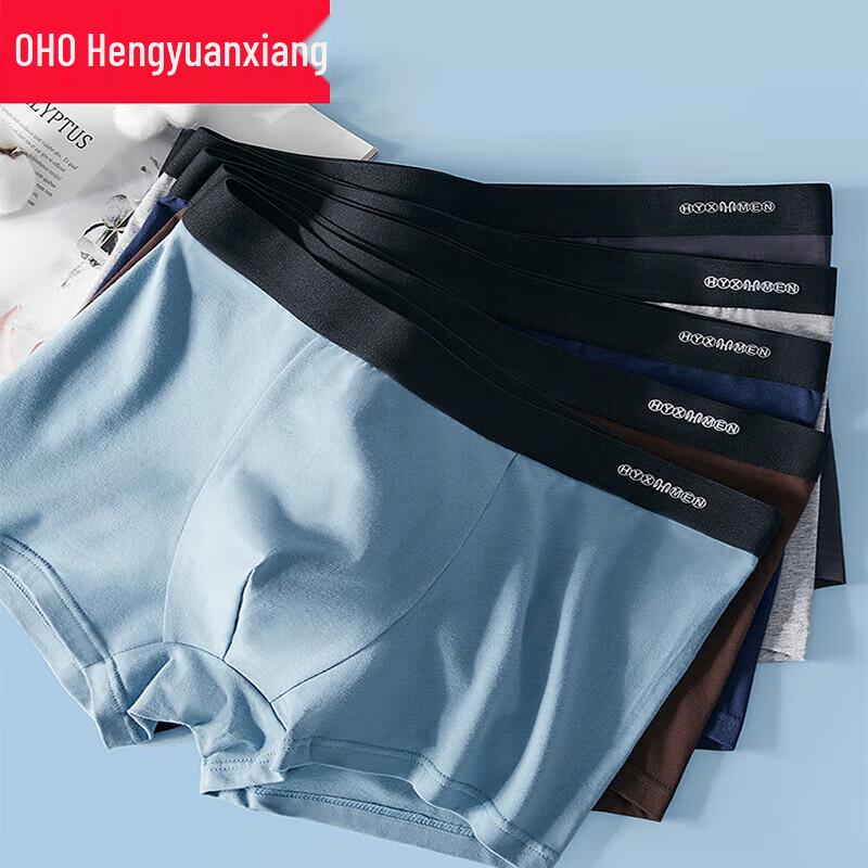 Hengyuanxiang Men's Plus Size Cotton Antibacterial Boxer Briefs