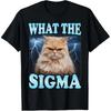 What The Sigma Funny Cat Meme Shirt - Hilarious Lightning T-Shirt Hoodie