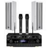 SAST SH-413 Wall-Mount Conference Speaker System with Dual Wireless Mics (CN Version)