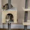 156cm High Cat Scratching Post with Bed, House, and Sisal Scratching Posts