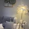 Ostrich Feather Romantic Floor Lamp - French Influencer Style for Living Room or Bedroom