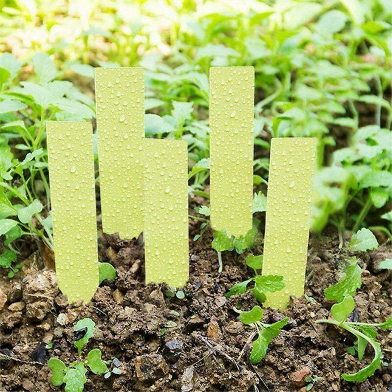 100 Uds etiqueta de planta etiqueta de jardín colgante de plástico impermeable etiquetado marcador de maceta de vivero