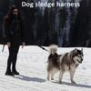 Snow Pull Pet Sled Chest Strap Erha Golden Retriever Samoyed Medium and Large Dogs Running Traction Reflective Chest Back