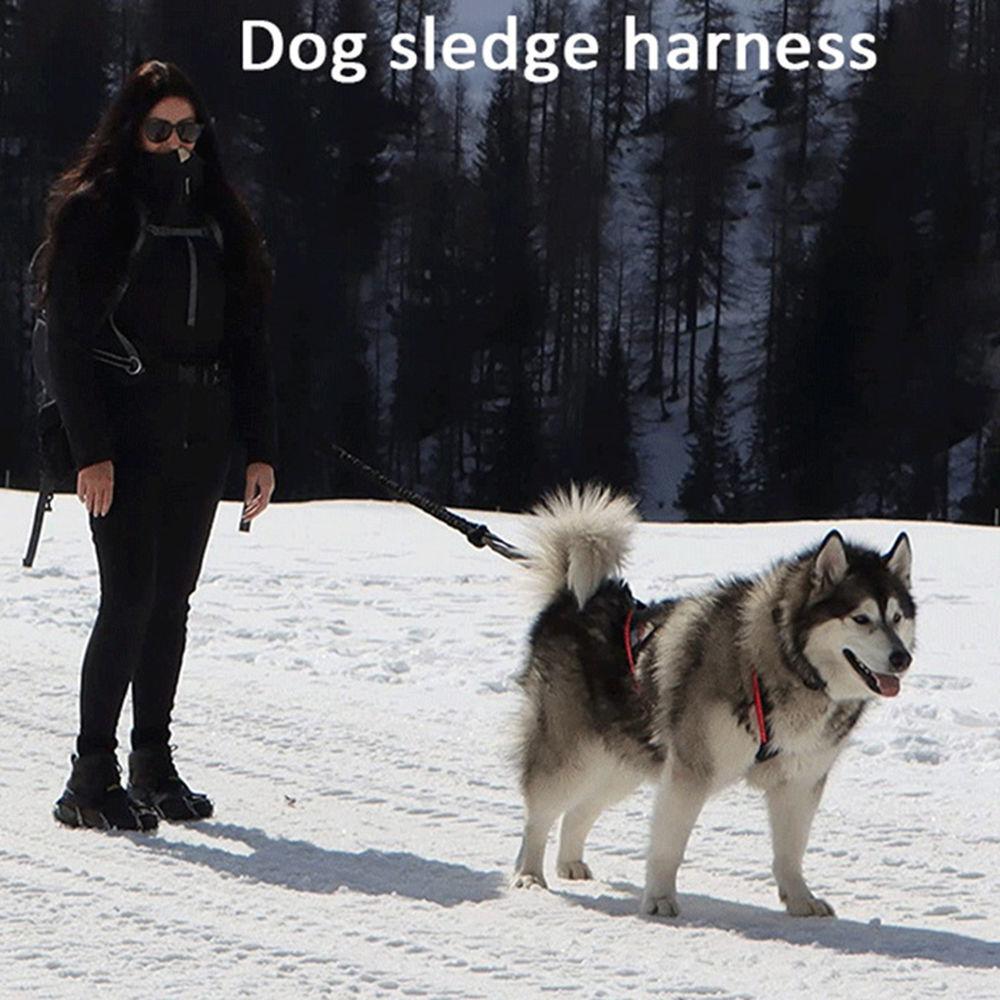 Snow Pull Pet Sled Chest Strap Erha Golden Retriever Samoyed Medium and Large Dogs Running Traction Reflective Chest Back