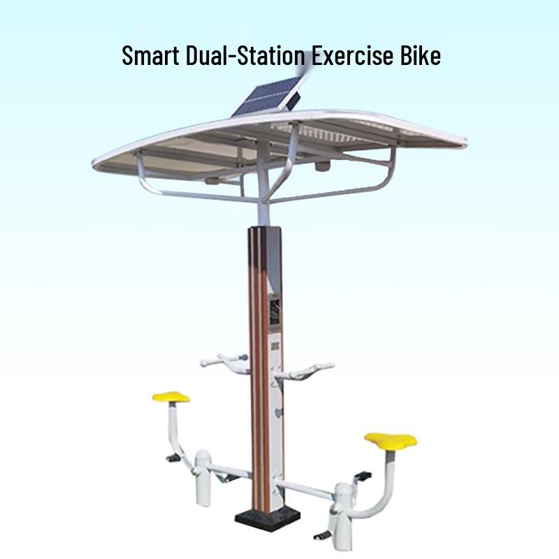 Smart Outdoor Dual Exercise Bike