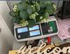 Simulation Garland Door Decoration Pendant Grass Ring Decorative Door Knocker