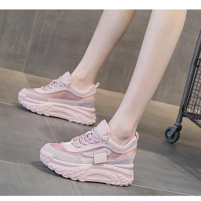 Special Canvas Dad Shoes Spring New Casual Shoes French Round Head Thick Sole Heightening Casual Sports Shoes