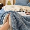 Winter Blanket Coral Fleece Blankets Office Shawl Nap Blanket Air Conditioning Duvet Bedding Warm Sheets 200*230cm