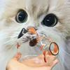 Large Size Cat Hair Storage Box Pet Hair Keepsake Box Cat Fur Souvenirs Keychain Diy Decoration Gift Pet Lovers Pendant