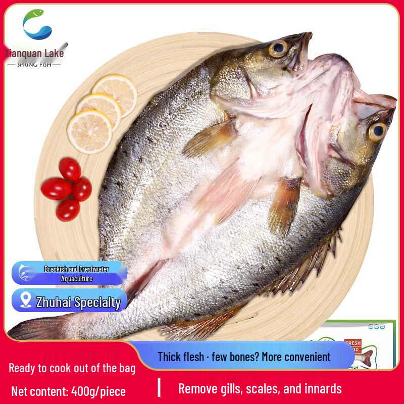 Xianquanhhu Frozen Sea Bass Selection