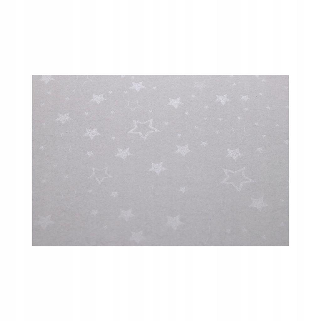 KARTON OZDOBNY STARS SREBNY 220G/M2 (20) 8532