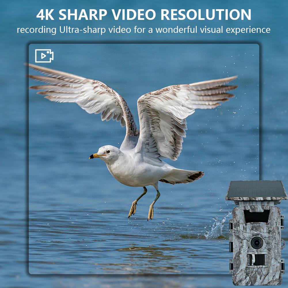 Solar-Powered HD WiFi Hunting Camera: Waterproof, Infrared, Motion Detection.