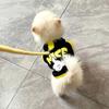 Cool Pet Sleeveless Vest with Buckle Summer Puppy Dog Clothes for Small Dogs Pomeranian Pinscher Schnauzer Cat mascotas Clothing