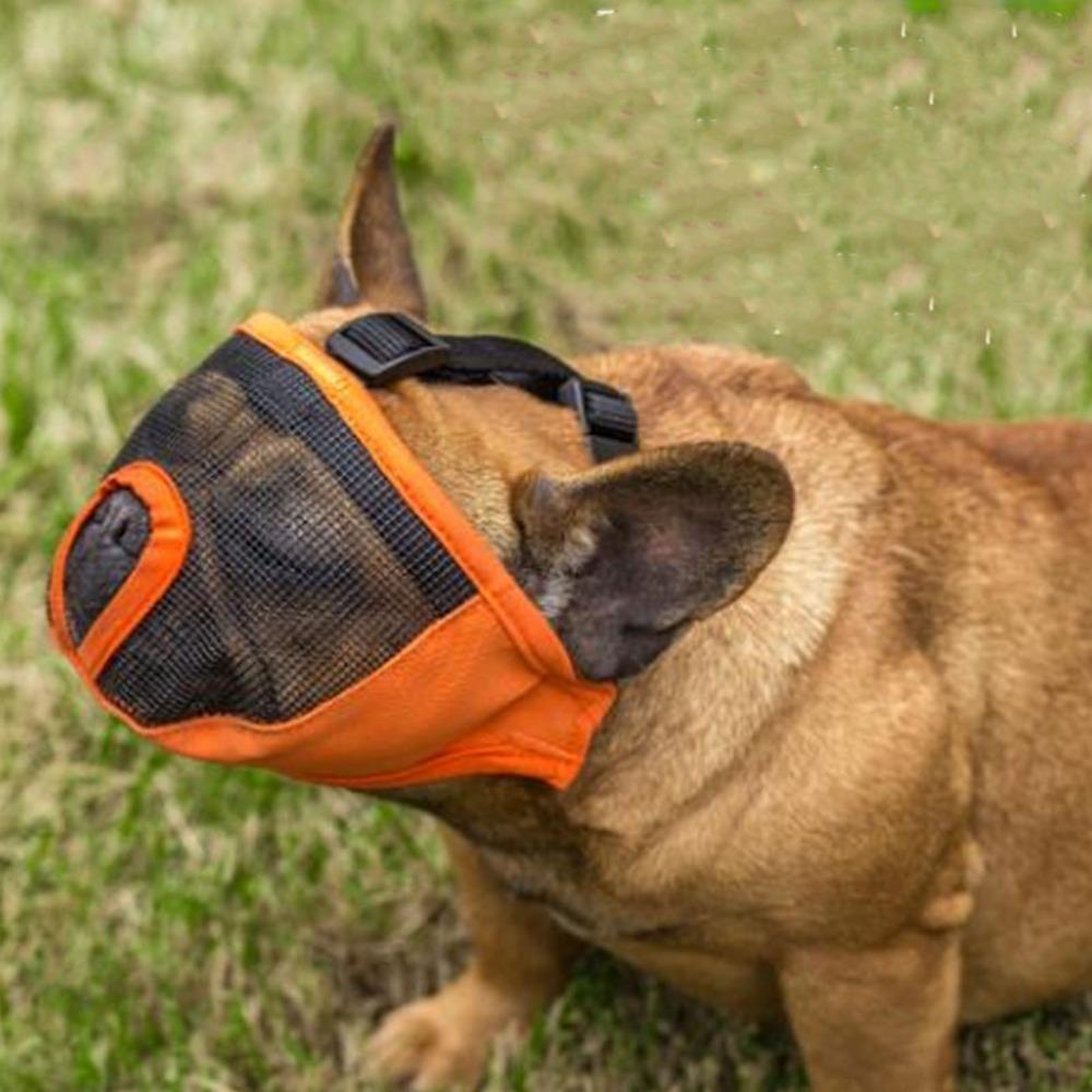 Soft Short Snout Muzzle Breathable Anti Bite Muzzle Durable Flat Face Muzzle  Bite Prevention
