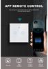 Graffiti Smart WiFi Wall Switch with App & Alexa Voice Control