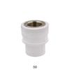 FFY PPR Internal Thread Water Pipe Connector