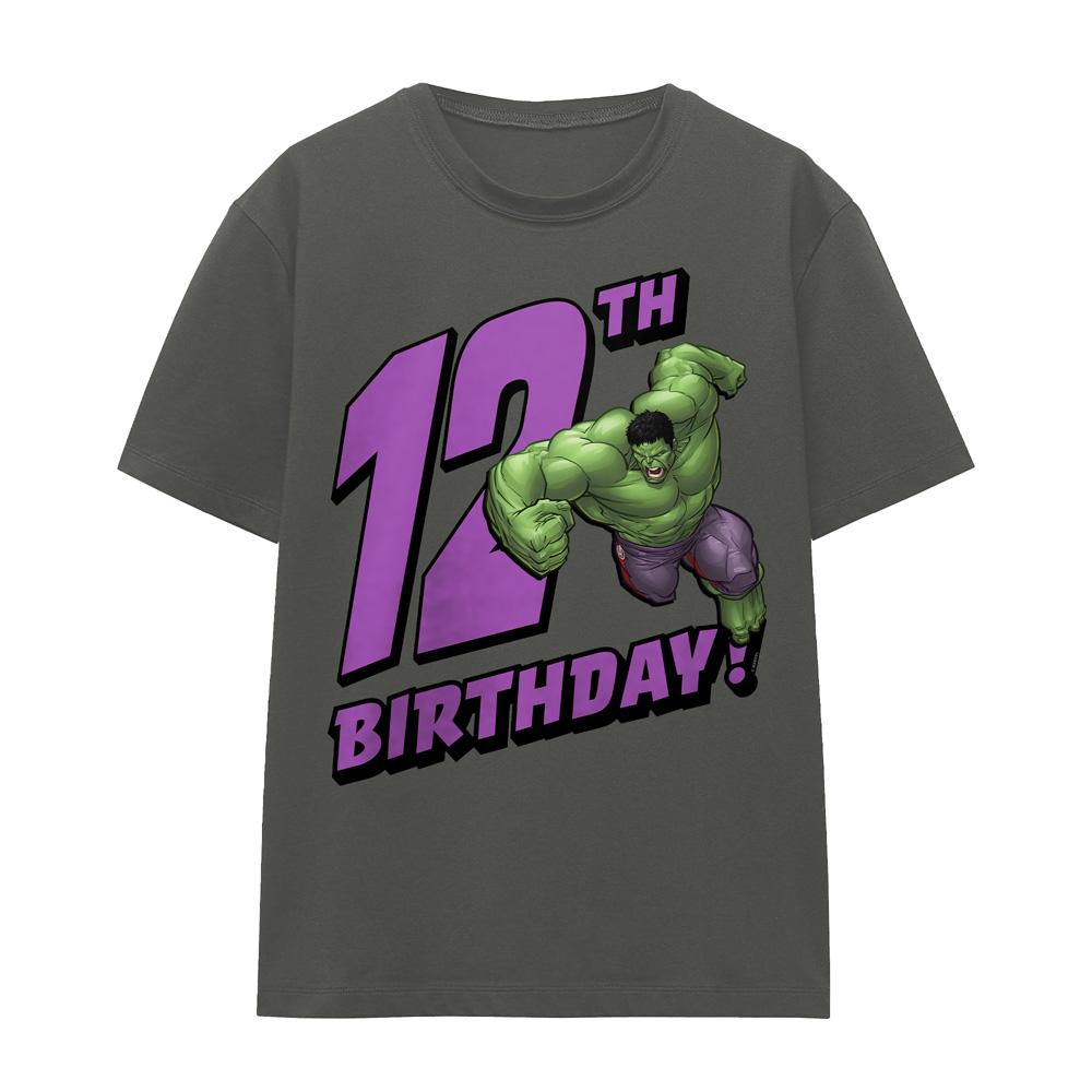 The Incredible Hulk Womens/Ladies 12th Birthday T-Shirt