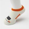 [TETSUSHITA] Chuo Line Socks Train Goods
