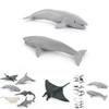 Realistic Miniature Dolphin Devil Ray Beluga Whale Shark Model Ocean Animal Toy Collection