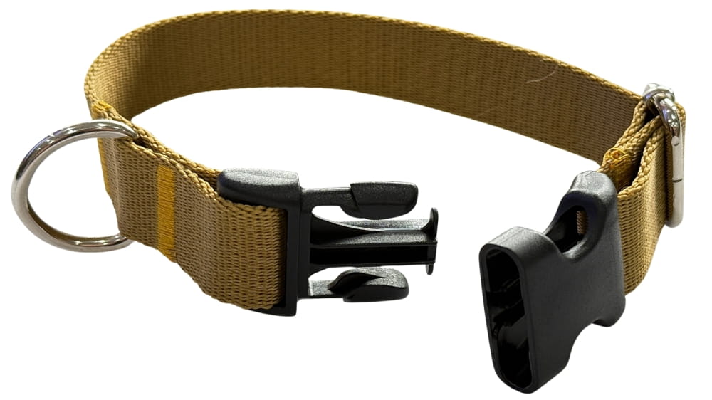 Dog Collar 2.5 cm with Buckle Adjustable Gold Fasten Dog Collar 2.5 cm with Buckle Adjustable Gold Fasten XL: 50-75cm