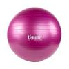Tiguar Safety Plus Exercise Ball