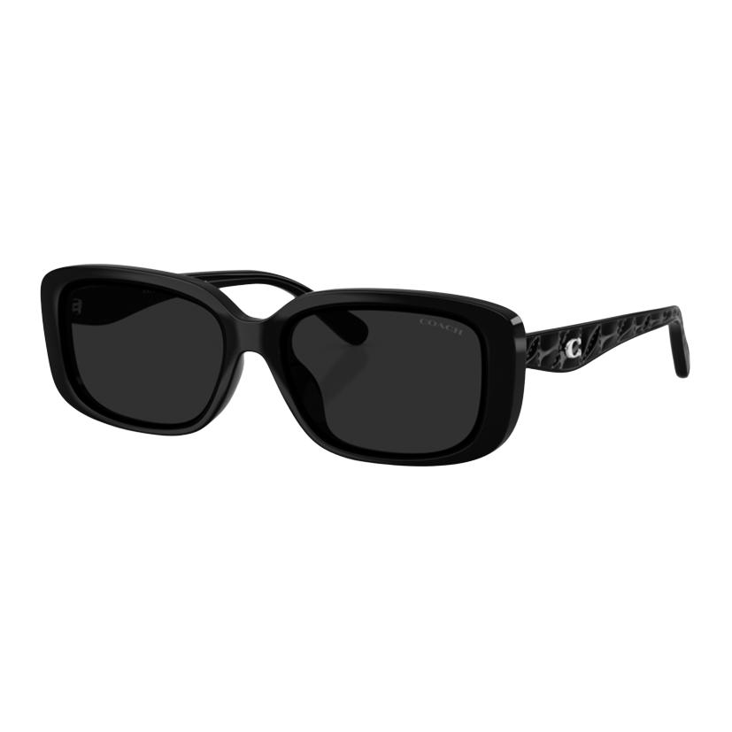 

Coach Minimalist Versatile Oval Sunglasses Unisex sunglasses Black 0HC8443D Basic Packaging+Eyeglass Case+Eyeglass Cloth