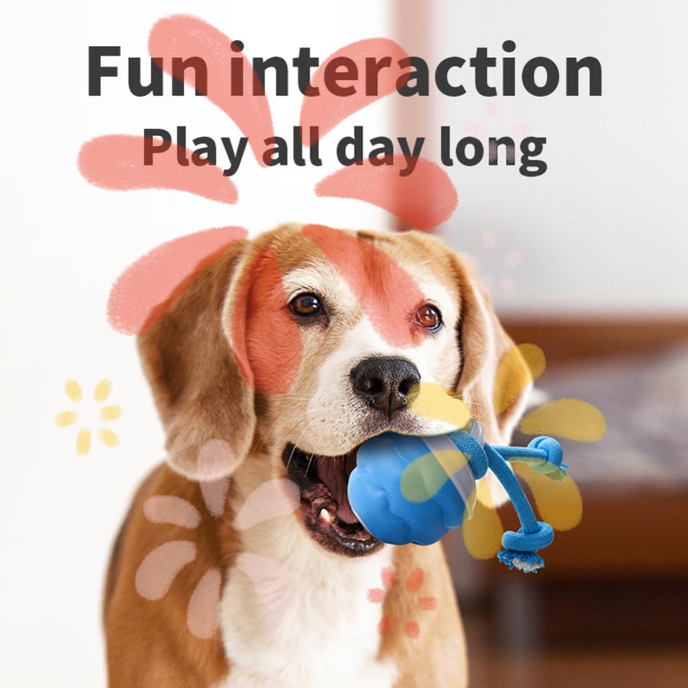 

Interactive Dog Toys Ball Electric Rolling Ball with Rope Motion Activate Cat Toy USB Rechargeable 3 Modes for Small Medium Dogs China Mainland