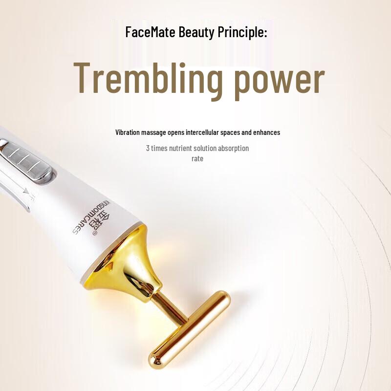 Jindao KD9060 Gold Bar Facial Massager CN Plug (adapter Included)