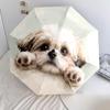 Shih Tzu Pattern, Automatic Folding Umbrella, Portable and Foldable Design, 8 Ribs, a Christmas or Birthday Gift.