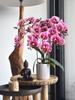 6 sztuk orchidea Phalaenopsis sztuczny kwiat 61cm sztuczna orchidea prawdziwy dotyk lateksowe sztuczne storczyki sztuczna orchidea fałszywa orchidea dla Home Office dekoracje ślubne