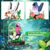 LULUFUN Insect Collection Toy, Mini Bird Blocks, Set of 6, Toy, Birthday Gift, Bird Blocks, with Case, Mother's Day, Father's Day, Men, Women,
