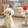 Rubber Rope Hydrangea Interactive Dog Toy That Can Relieve Boredom, Hard To Chew, Release Energy, Grind Teeth and Be Educational Pet Toy