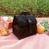 Lightweight Insulated Lunch Bag Adjustable Shoulder Strap Picnic Bag Tote Cooler Bag  Picnic