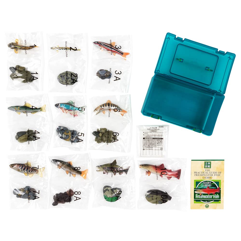 Calorata Japanese Freshwater Fish 3D Encyclopedia Species Includes Instructions and Realistic Figures Birthday Gift Sanitation Law Fish Figure Gift