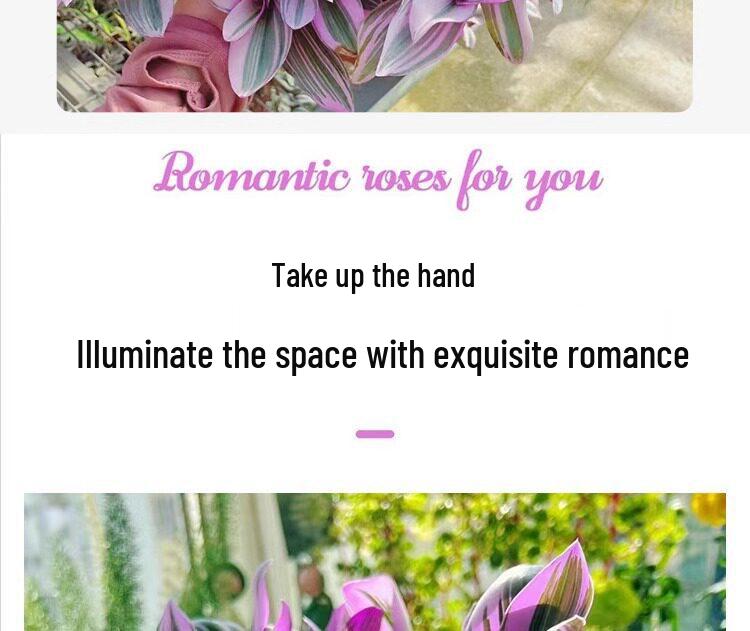Wedding Lily of the Valley Rouge Cloud Succulents: Indoor Office Flowers & Desktop Green Plants