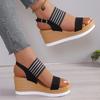 Summer Lightweight Platform Sandals Plus Size Color Blocking Sole Durable Casual Commuter Shoes for Women Export Quality