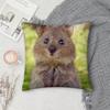 Kwaii Klippschliefer Tier Niedliche Kissenhülle Quadratisch Doppelseitiger Druck Sofakissenbezug Kissenbezug Schlafzimmer Nachttisch