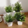 Eucalyptus Potted Greenery Plant For Indoor Living Styling Room