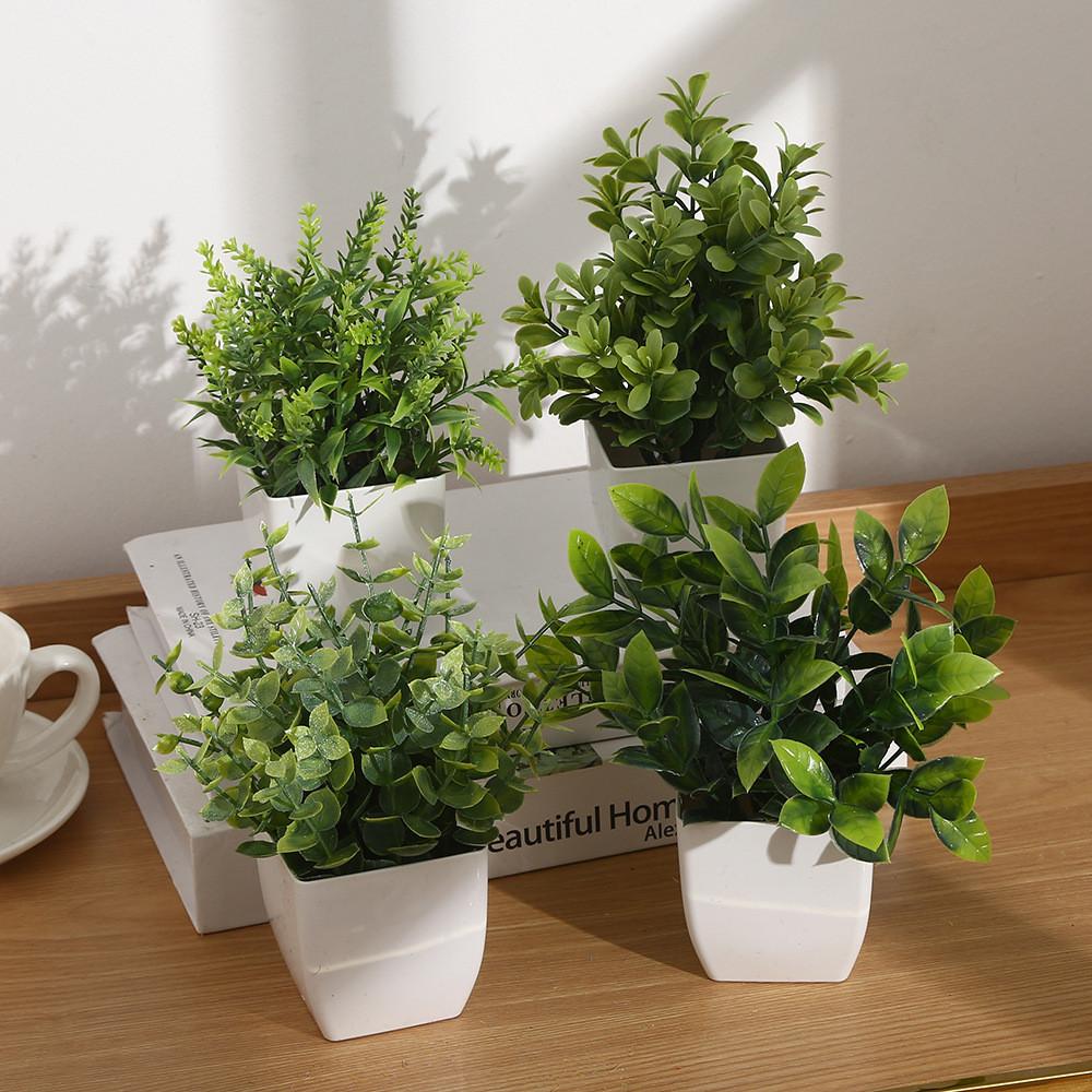 Eucalyptus Potted Greenery Plant For Indoor Living Styling Room
