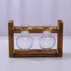 Plants Propagation Station with Wooden Stand Indoor Plant Terrarium Hydroponic Flower Holder Container Decoration Table Centerpiece