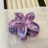 2024 High-End Elegant Frangipani Gradient Hair Claw: Colorful Shark Clip for Women