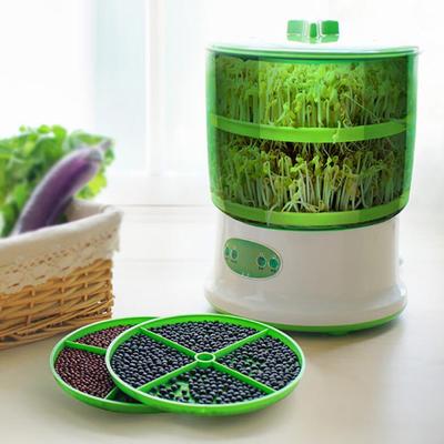 Convenient Bean High Capacity Sprouter Short Cycle Germinate