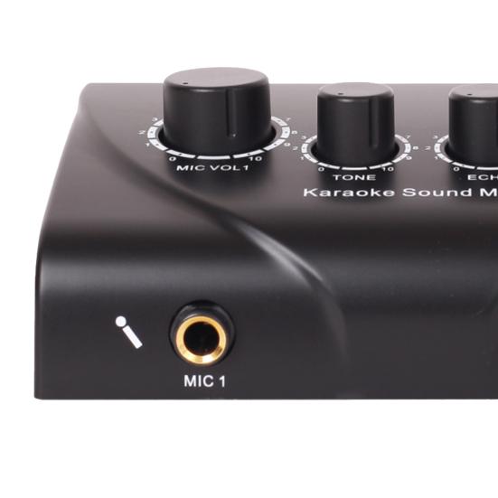 Microphone Amplifier Professional Dual Mic Input Mini Household Computer Phone Karaoke Echo Mixer