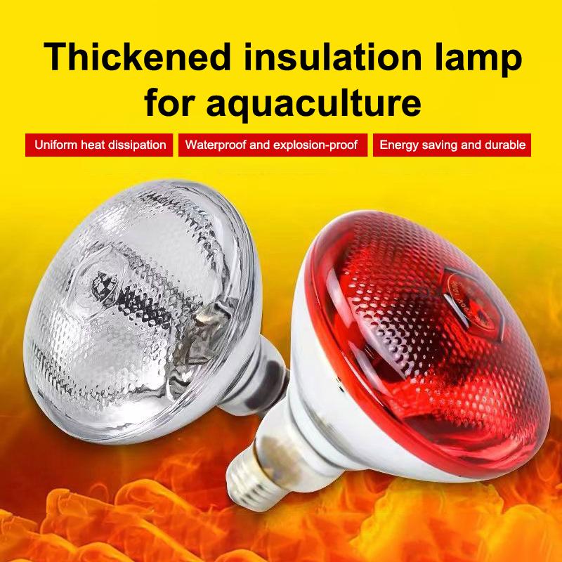 Zesílená Pet Tepelná Lampa Den Noc Pro Obojživelníky Had Lampa Teplo Plaz Světlo Vysoká Kvalita Chovná Žárovka Pet Brooder Líheň