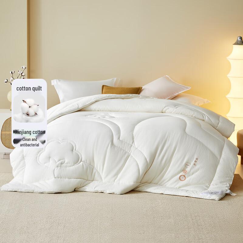 

Mercury Slow Time Odor-Purifying 100% Xinjiang Cotton Quilt