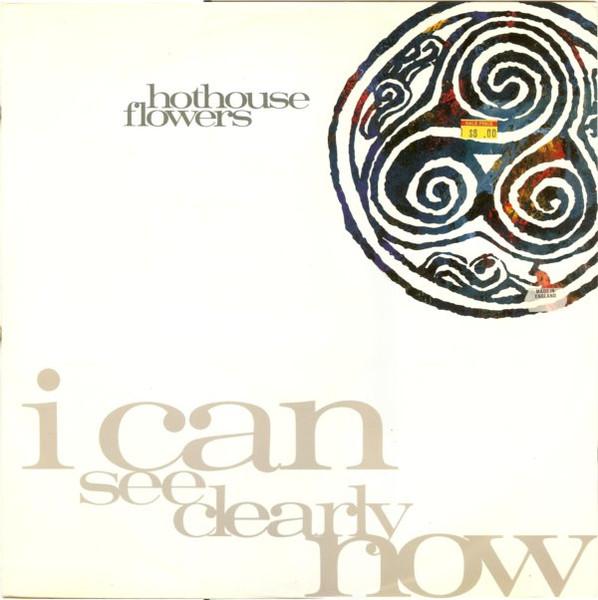 7inch Record HOTHOUSE FLOWERS  I Can See Clearly Now LON269 LONDON 1990 UK Rock Used