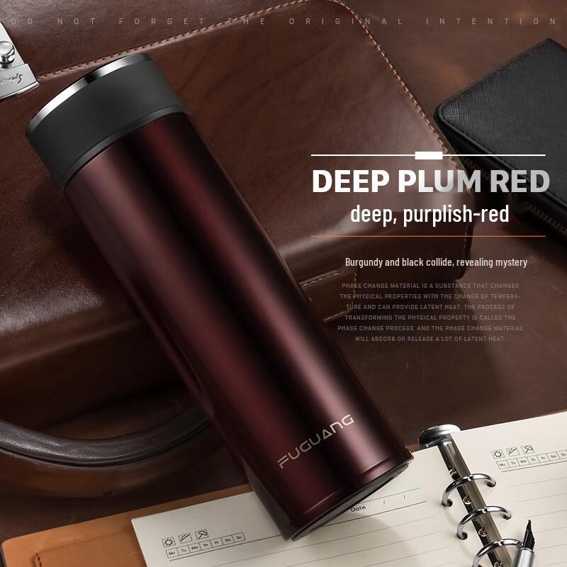 FUGUANG Smart Temperature Control Thermos Mug with Tea Infuser